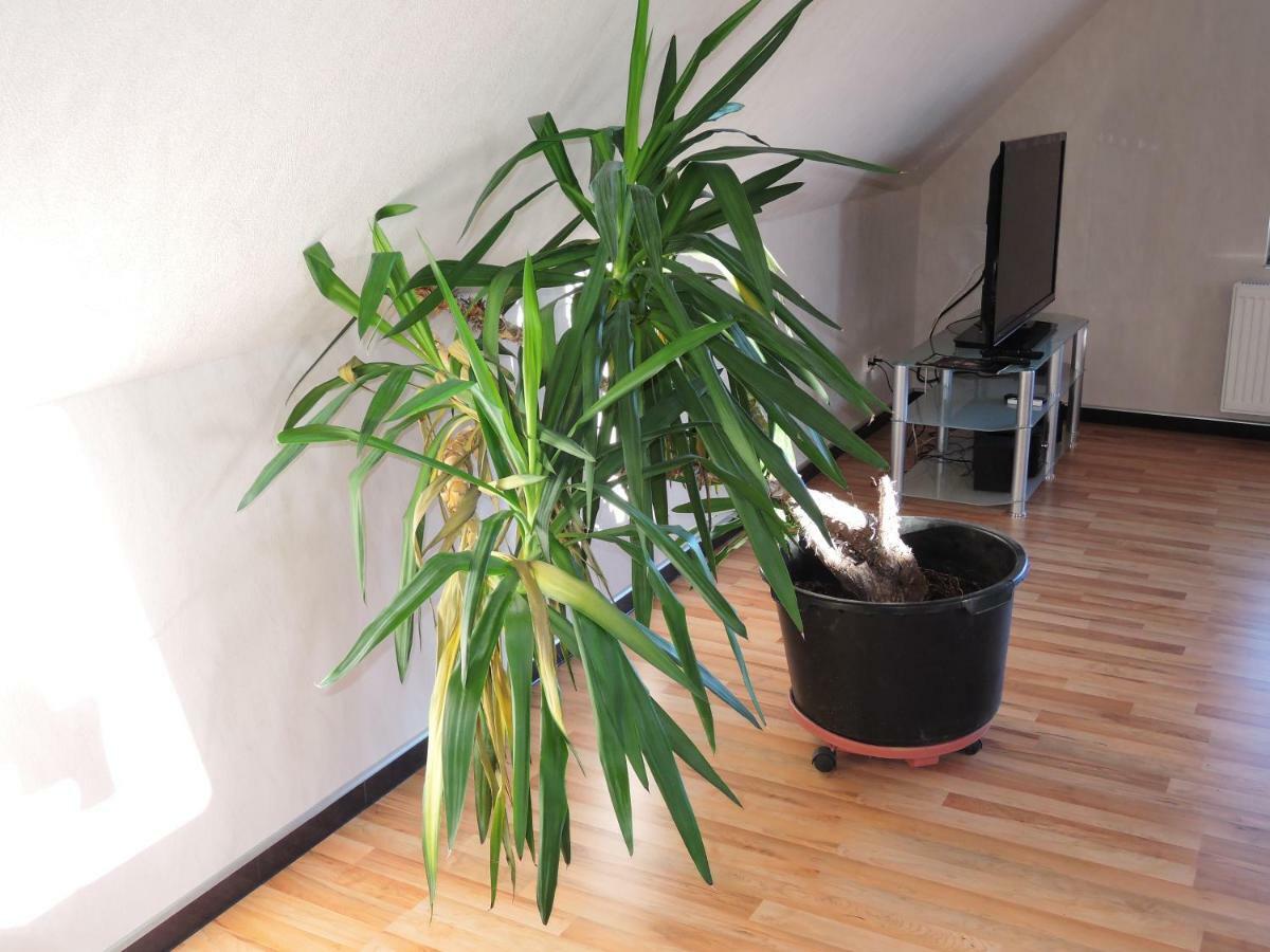Guesthouse "Southside Of Hamburg" Exterior photo